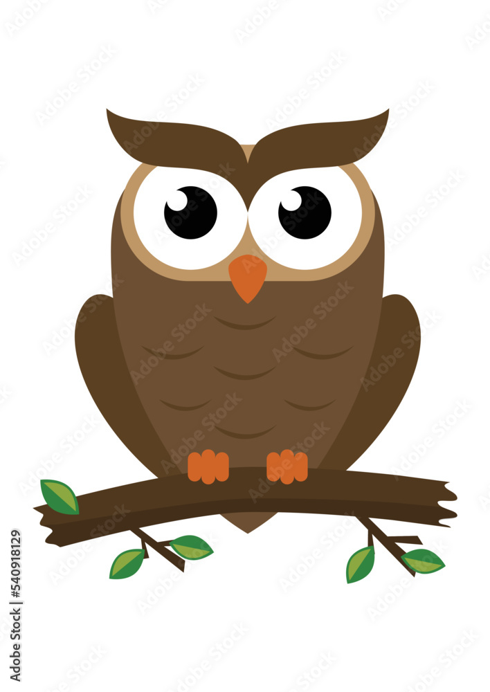 Cartoon owl isolated on white background. Vector illustration of cartoon Owl