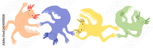 Vector isolated illustration of four colorful axolotls. Playful cute amphibians swimming together.