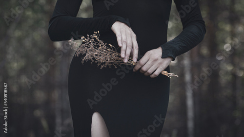 Fotografie Beautiful faceless woman in black tight dress with a bouquet of dried flowers in hands in the black forest, selective focus