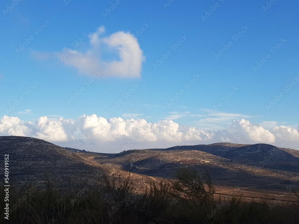 pure nature in israel, without filters