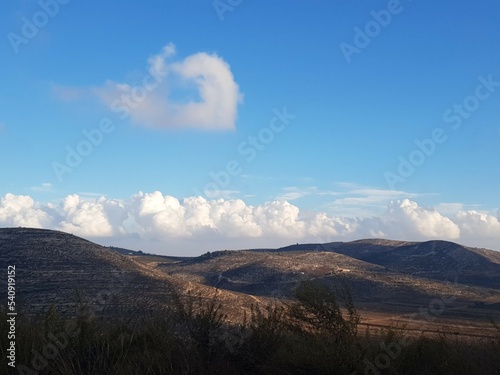 pure nature in israel  without filters