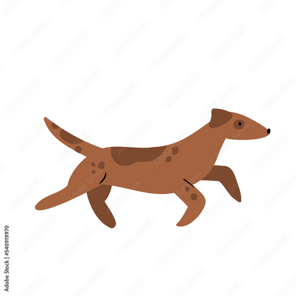 dog vector illustrations in flat style clipart