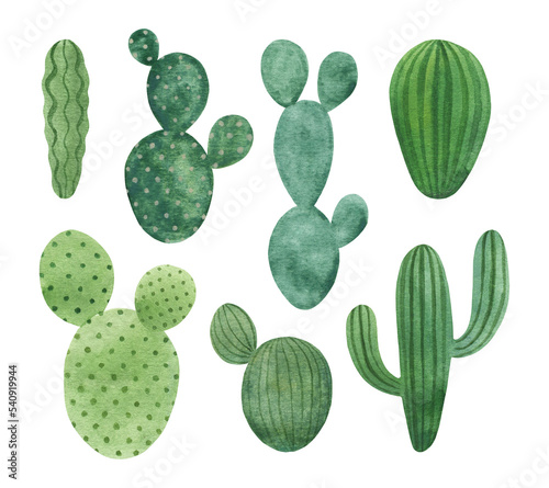 Watercolor cactuses set isolated on white background. Simple hand-drawn houseplants clipart. Green desert succulents