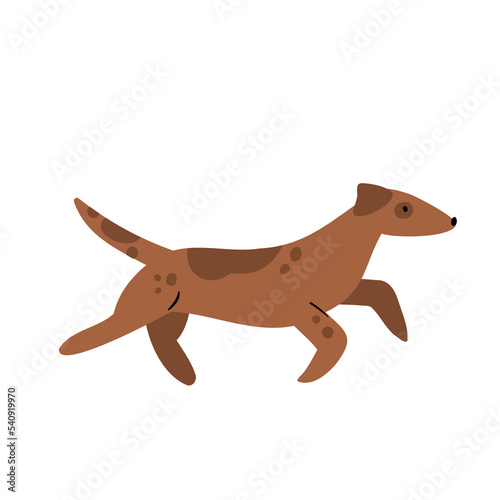 dog vector illustrations in flat style clipart