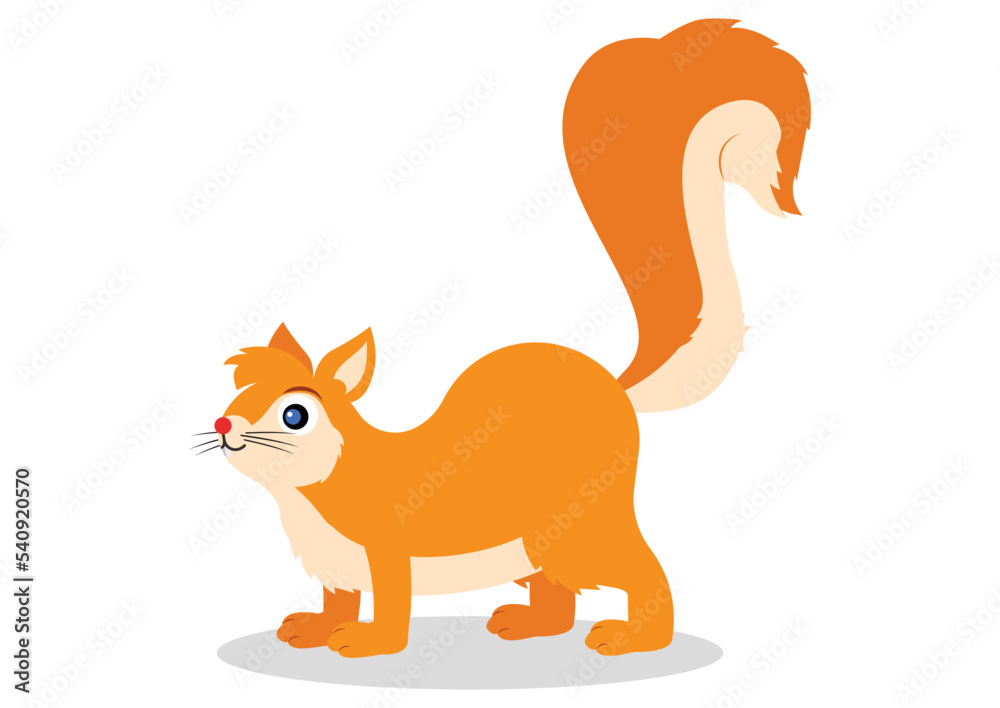 Cartoon squirrel on white background Cartoon squirrel on white background