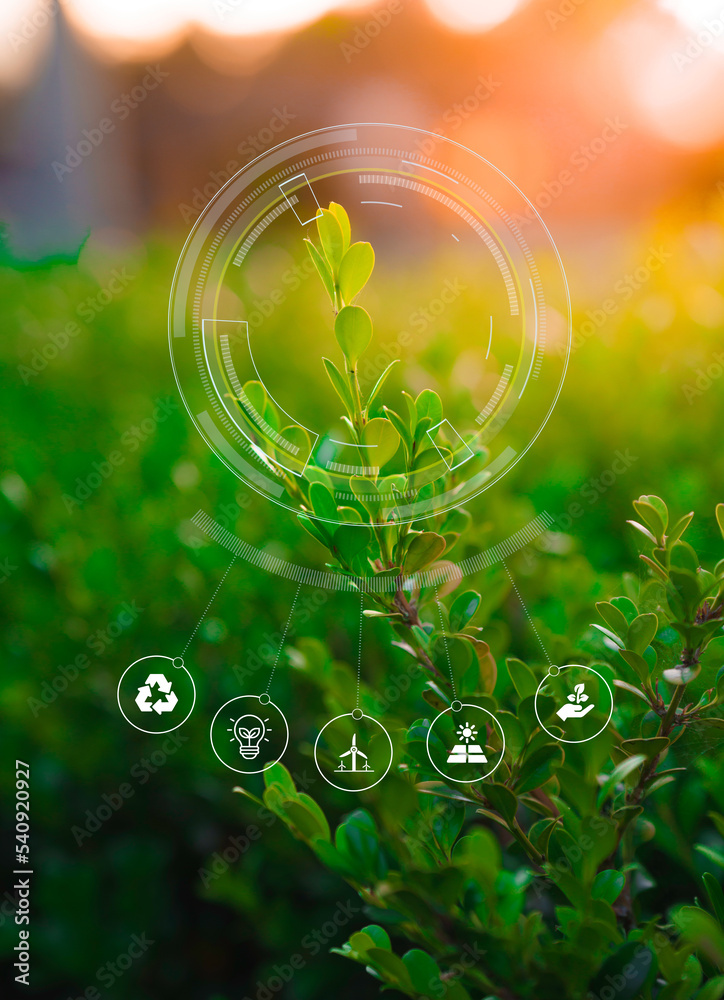abstract green background with icons. ecology sustainability and renewals concept - obrazy, fototapety, plakaty 