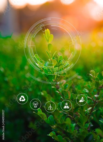 abstract green background with icons. ecology sustainability and renewals concept