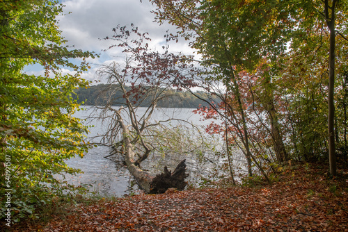 Am Tiefwarensee in Waren (Müritz) im Herbst photo