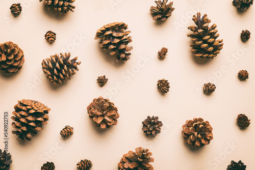 Canvastavla pine cones on colored table