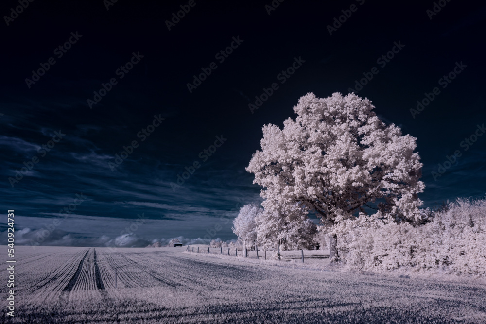 infrared photography - ir photo of landscape under sky with clouds - the art of our world in the infrared spectrum