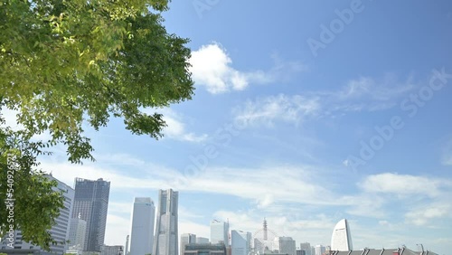 風に揺れる樹木　横浜　みなとみらい