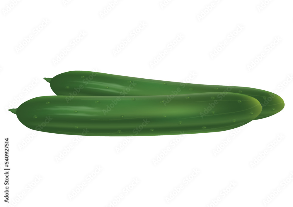 Clipart Vector Cucumber. Vector illustration of cucumber isolated on white background Clipart Vector Cucumber. Vector illustration of cucumber isolated on white background