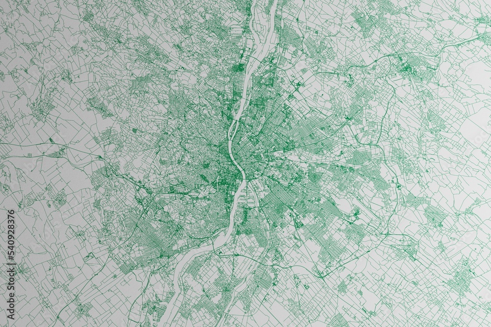 Fototapeta premium Map of the streets of Budapest (Hungary) made with green lines on white paper. 3d render, illustration