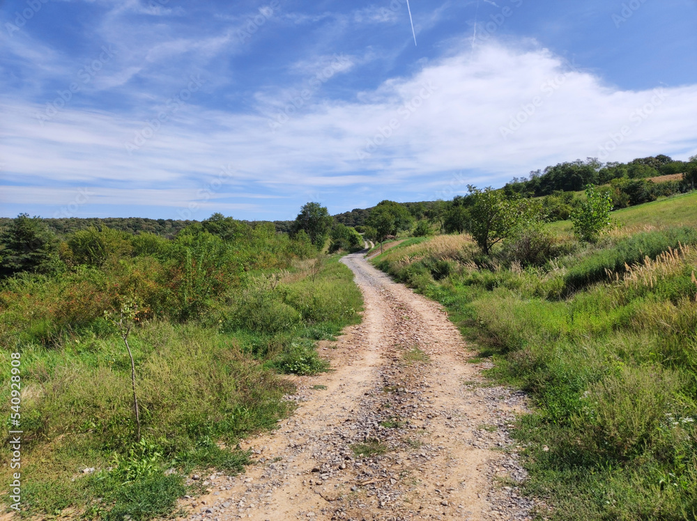 landscape of National Park Fruska Gora mountain in september