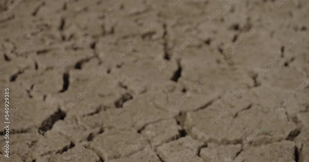 close up dry cracking soil after drought. arid cracked ground on the earth surface close up dry cracking soil after drought. arid cracked ground on the earth surface