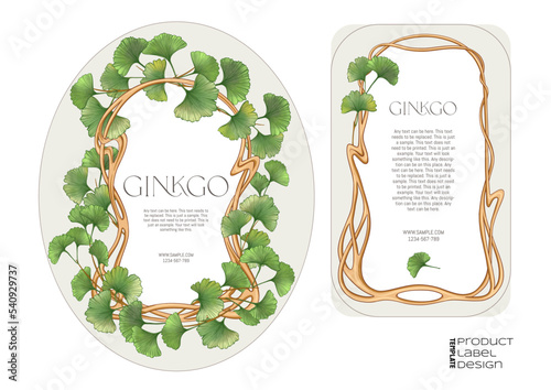 Ginkgo biloba leaves. Border, art nouveau frame, template for product label, cosmetic packaging. Easy to edit. Vector illustration. In botanical style