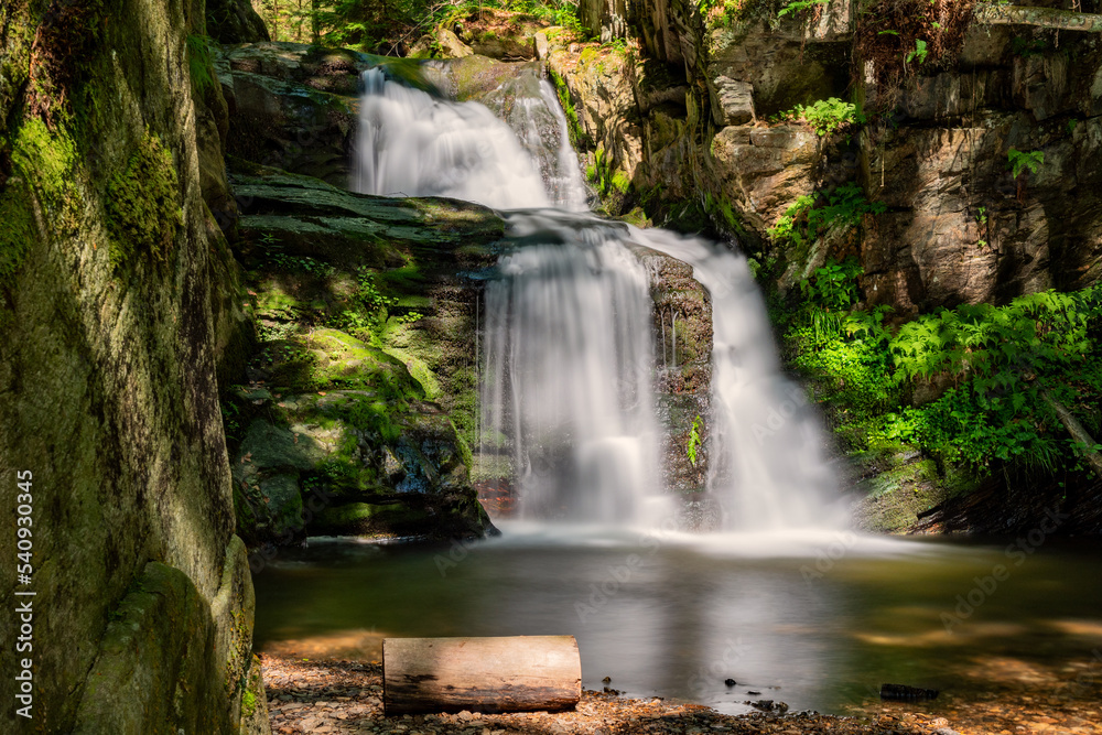 Fototapeta premium waterfall in the forest
