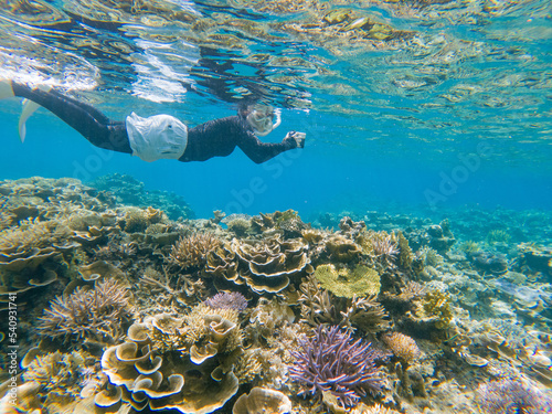 Snorkeling at the Kerama Islands in Okinawa.
