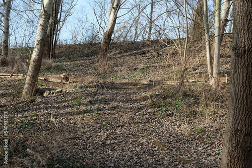 FU 2022-02-13 Parcour 44 Im Wald ist eine Crosstrecke für Fahrräder