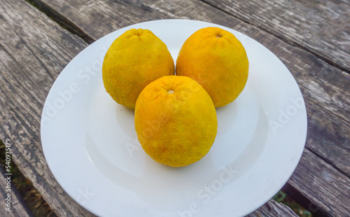 The yellow ripe oranges lay on the green leaves with the golden sun shining brightly as a healthy fruit as a nourishing food.