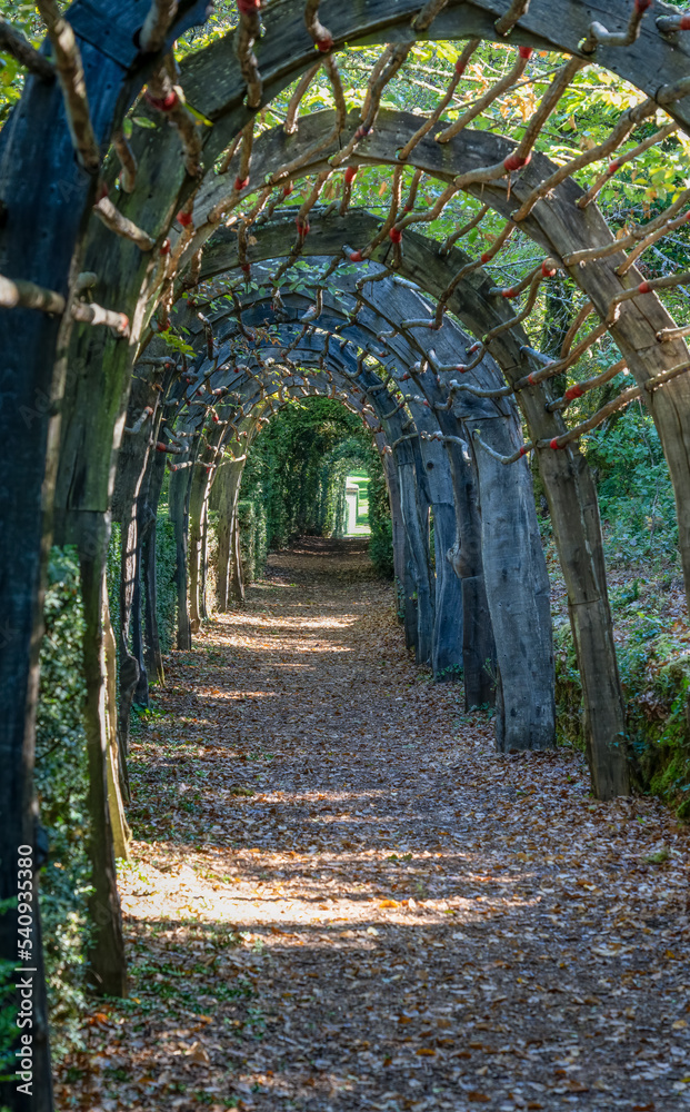 pathway leading through a covered wooden arch tunnel  and foliage 