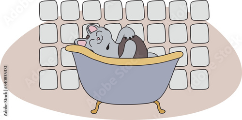 Illustration of a gray cat in a bathroom with a tile finish. The pet washes and takes a warm bath. A clean kitten is resting. Ready to use eps for your design