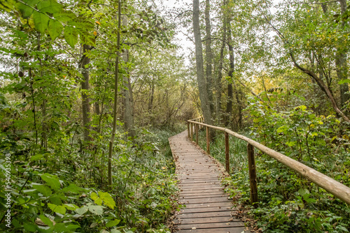 Bohlenweg im National Park M  ritz  im Herbst