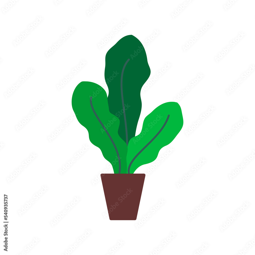 Vector illustration of a tropical flower on a pot Vector illustration of a tropical flower on a pot