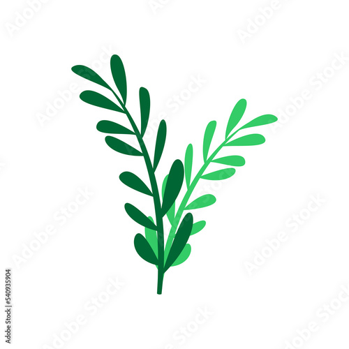 Tropical leaf illustration Vektor