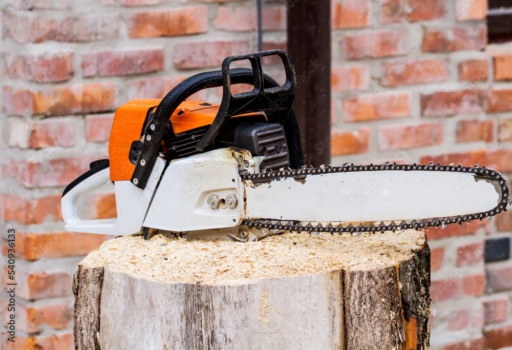 Close-up view of chainsaw on the stump with many sawdust