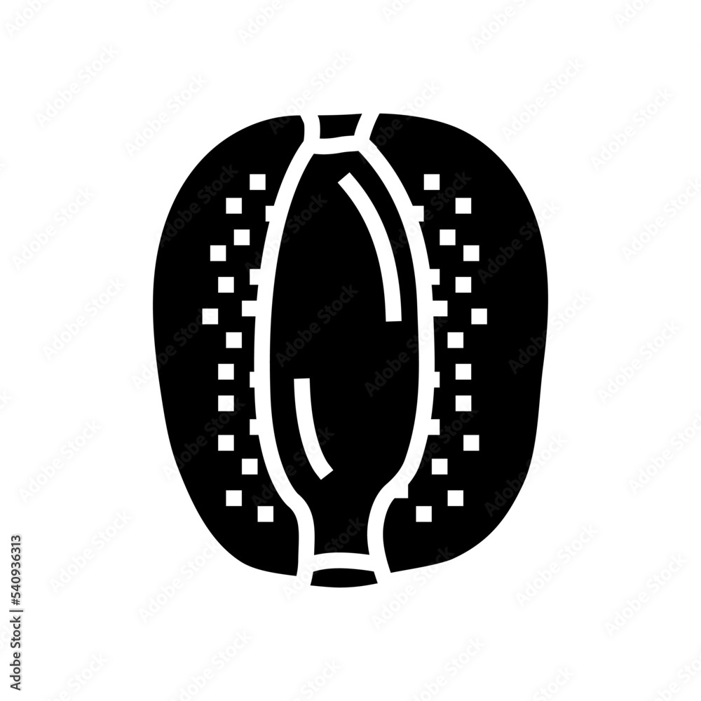 Fototapeta premium cut kiwi fruit fresh glyph icon vector. cut kiwi fruit fresh sign. isolated symbol illustration