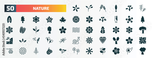 set of 50 filled nature icons. flat icons such as neroli, rosemary, maple, jasmine, american chestnut tree, freesia, windstorm, gemstone, knapweed, dianthus glyph icons.