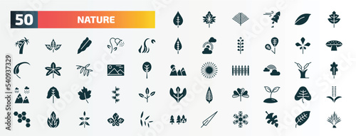 set of 50 filled nature icons. flat icons such as nut leaf, tree leave, carnivorous plant, chestnut leaf, landscape inside frame, rainbow behind a cloud, gooseberry leaf, trifoliate ternate, burning