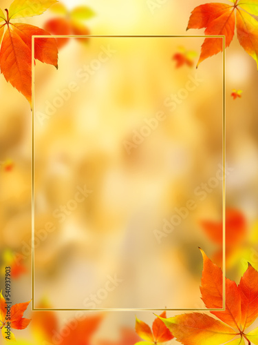 Autumn illustration with golden frame, soaring leaves and copy space. Golden autumn, background, leaves, banner, copy space.