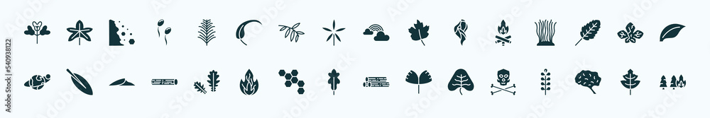 flat filled nature icons set. glyph icons such as obcordate, yew leaf, rainbow behind a cloud, camping bonfire, dry leaf, magnolia leaf, pedunculate, oak cordate, human brian, tree leave icons. flat filled nature icons set. glyph icons such as obcordate, yew leaf, rainbow behind a cloud, camping bonfire, dry leaf, magnolia leaf, pedunculate, oak cordate, human brian, tree leave icons.