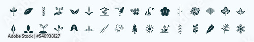 flat filled nature icons set. glyph icons such as cuspicate, apricot leaf leaf, briar leaf, bamboo sticks, reniform, asian, linden pollen, farming, philodendron, cypress icons.