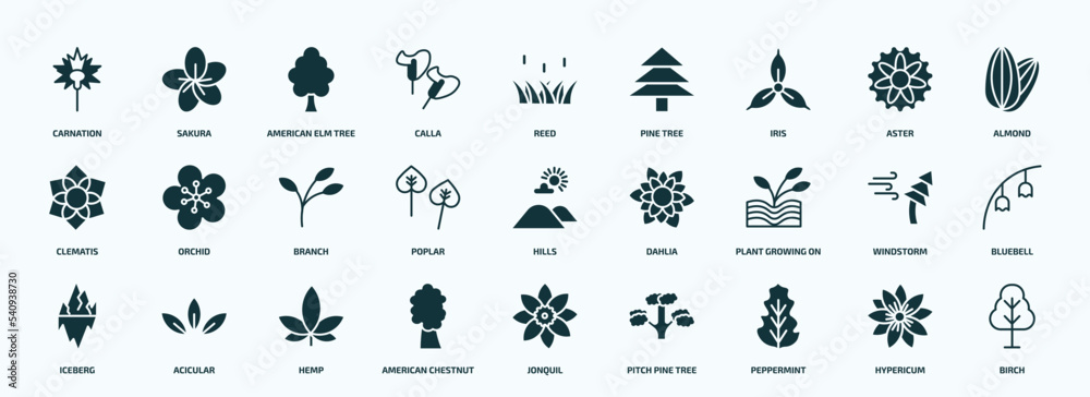 flat filled nature icons set. glyph icons such as carnation, calla, iris, clematis, poplar, plant growing on book, iceberg, american chestnut tree, peppermint, hypericum icons. flat filled nature icons set. glyph icons such as carnation, calla, iris, clematis, poplar, plant growing on book, iceberg, american chestnut tree, peppermint, hypericum icons.