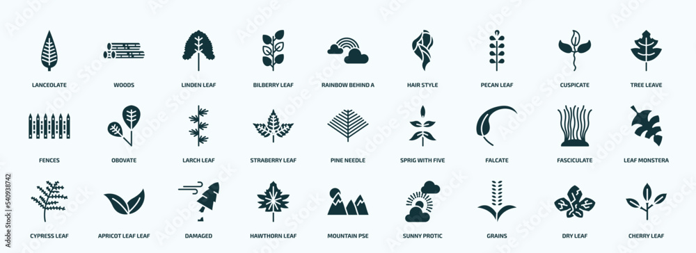 flat filled nature icons set. glyph icons such as lanceolate, bilberry leaf, pecan leaf, fences, straberry leaf, falcate, cypress hawthorn grains, dry icons.