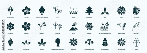 flat filled nature icons set. glyph icons such as carnation  calla  iris  clematis  poplar  plant growing on book  iceberg  american chestnut tree  peppermint  hypericum icons.