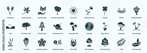 flat filled nature icons set. glyph icons such as two roses, bigtooth aspen tree, clovers, sow, saturn with his ring, daisy on pot, reeds, flower of leaves, white ash tree, fern icons.