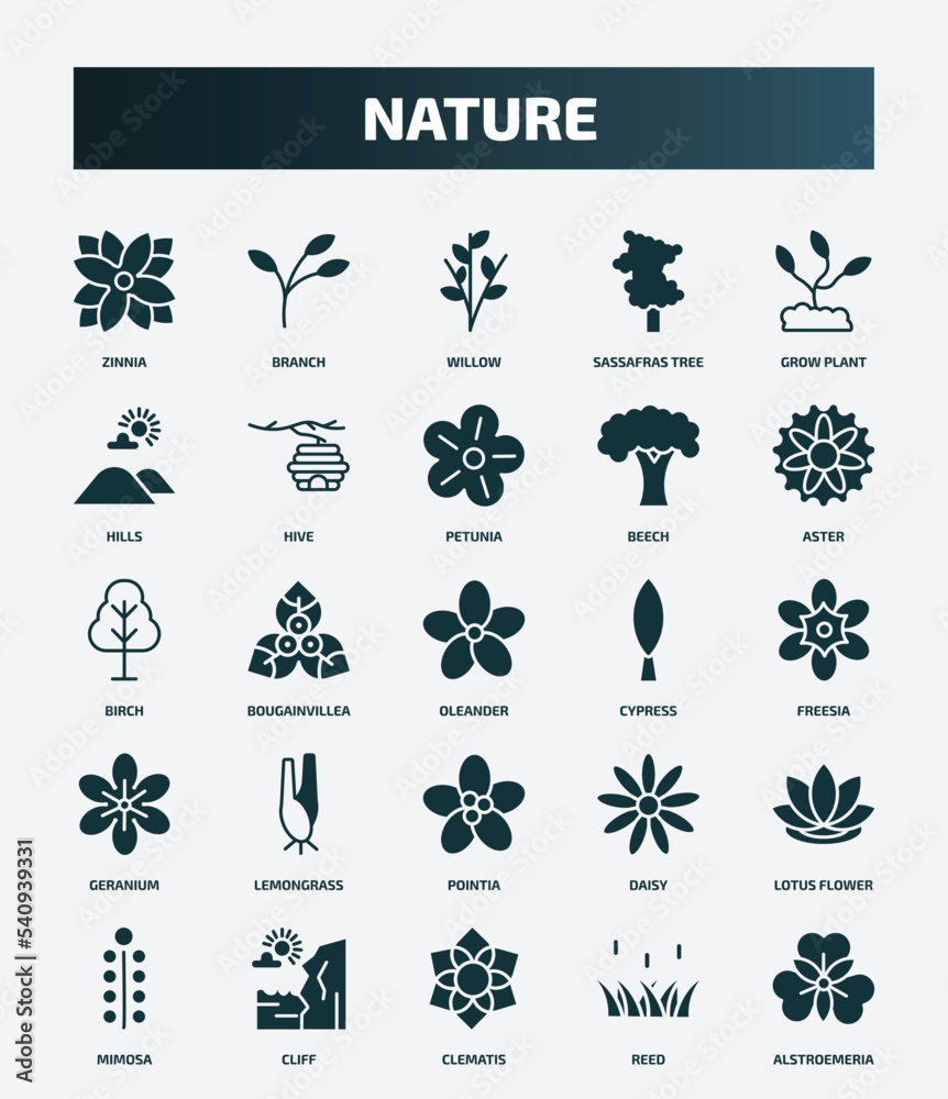 set of 25 filled nature icons. flat filled icons such as zinnia, branch, grow plant, petunia, birch, cypress, lemongrass, lotus flower, clematis, reed icons.
