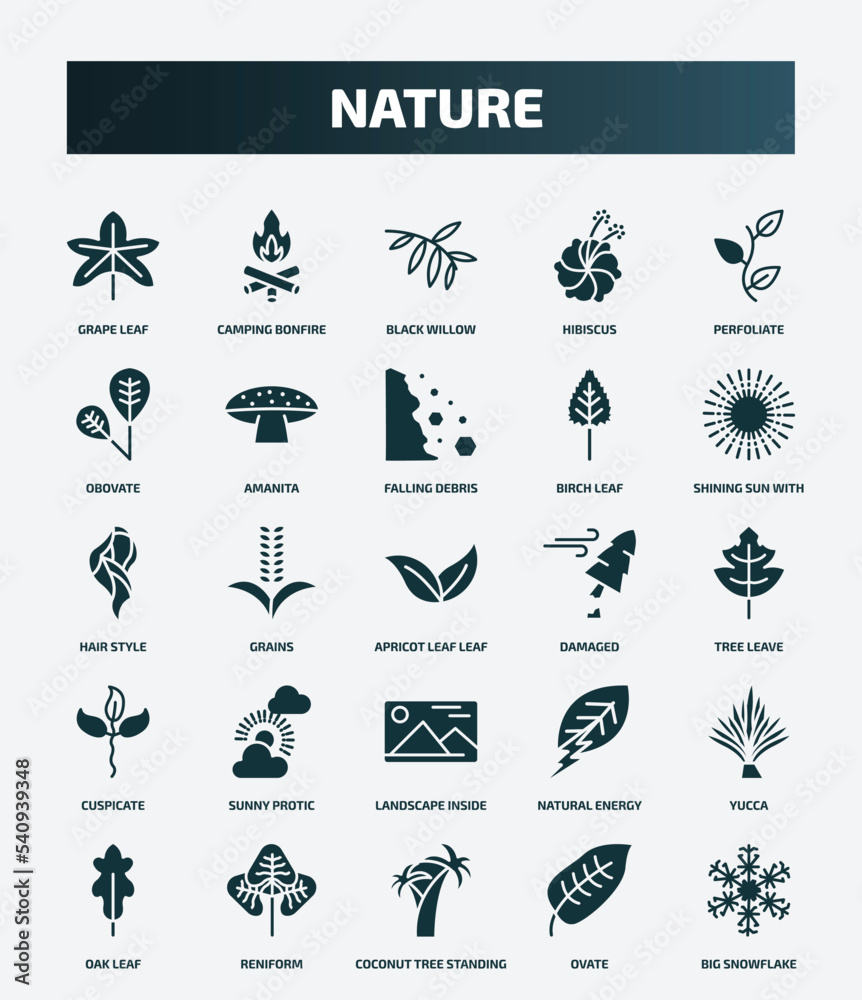 Fototapeta premium set of 25 filled nature icons. flat filled icons such as grape leaf, camping bonfire, perfoliate, falling debris, hair style, damaged, sunny protic, yucca, coconut tree standing, ovate icons.