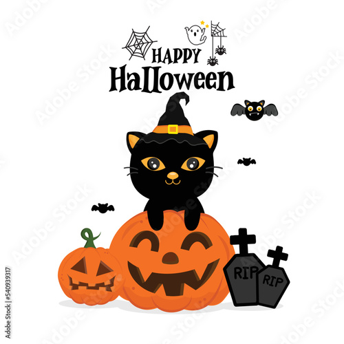 Happy Halloween greeting card with black cat in a witch hat.