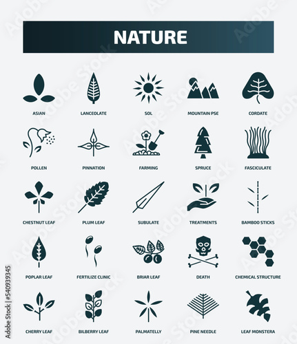 set of 25 filled nature icons. flat filled icons such as asian, lanceolate, cordate, farming, chestnut leaf, treatments, fertilize clinic, chemical structure, palmatelly, pine needle icons.