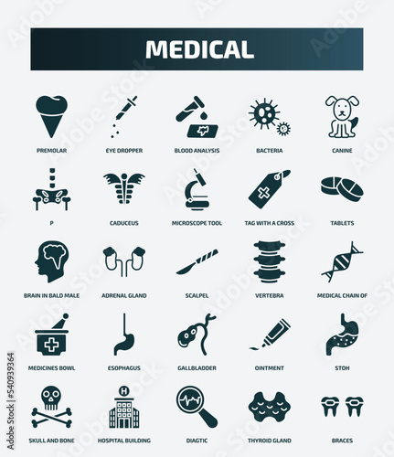 set of 25 filled medical icons. flat filled icons such as premolar, eye dropper, canine, microscope tool, brain in bald male head, vertebra, esophagus, stoh, diagtic, thyroid gland icons.