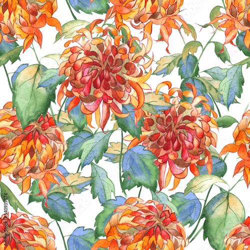 Seamless floral pattern. Orange-yellow chrysanthemums on a transparent background. Watercolor image. It can be used to create wallpaper, fabric and packaging.