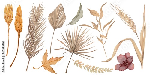 Autumn watercolor plants illustrations of palm leaves, branches and wildflowers 