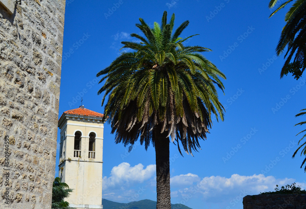 Montenegro, Kotor.