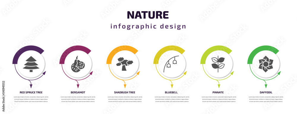 nature infographic template with icons and 6 step or option. nature icons such as red spruce tree, bergamot, shadbush tree, bluebell, pinnate, daffodil vector. can be used for banner, info graph, nature infographic template with icons and 6 step or option. nature icons such as red spruce tree, bergamot, shadbush tree, bluebell, pinnate, daffodil vector. can be used for banner, info graph,
