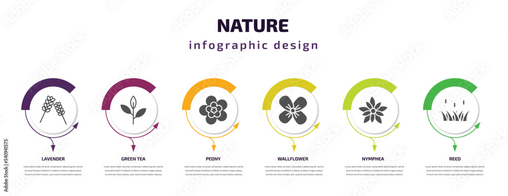 nature infographic template with icons and 6 step or option. nature icons such as lavender, green tea, peony, wallflower, nymphea, reed vector. can be used for banner, info graph, web,